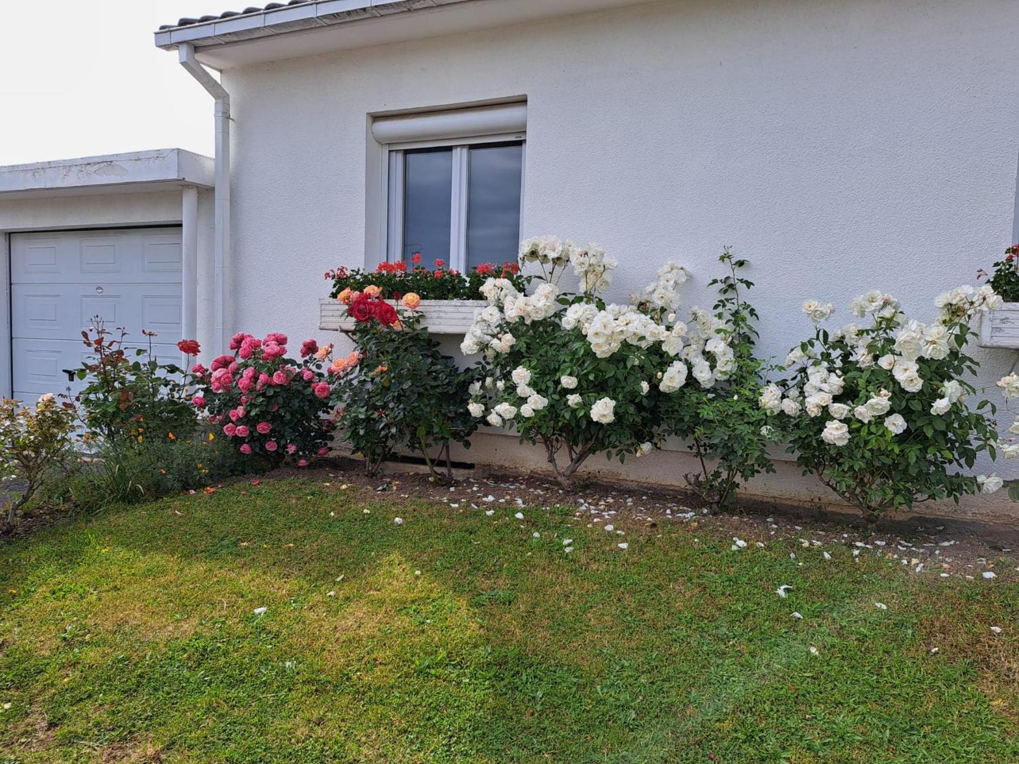 Charmante Maison Au Calme * Reims